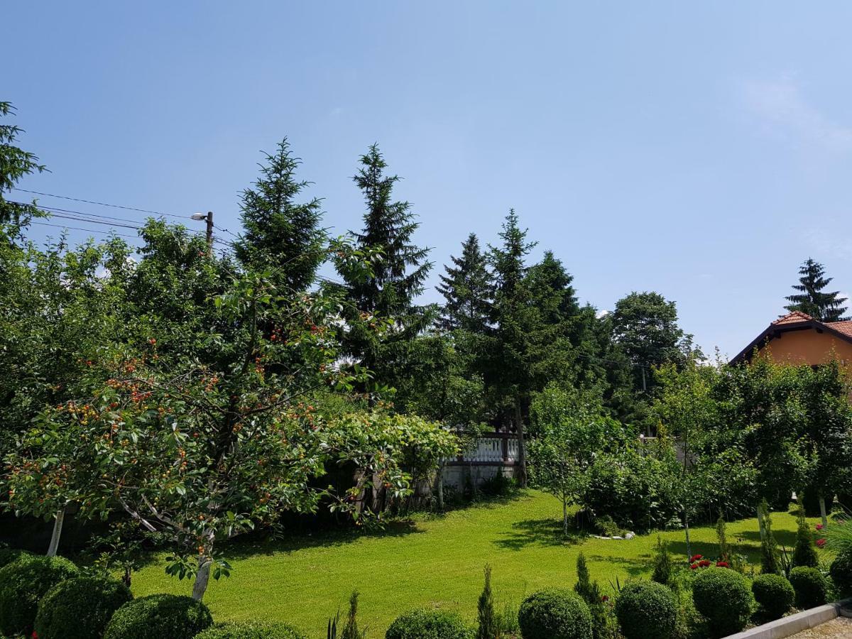 Apartment Paradise Enver Dubrave Gornje 外观 照片