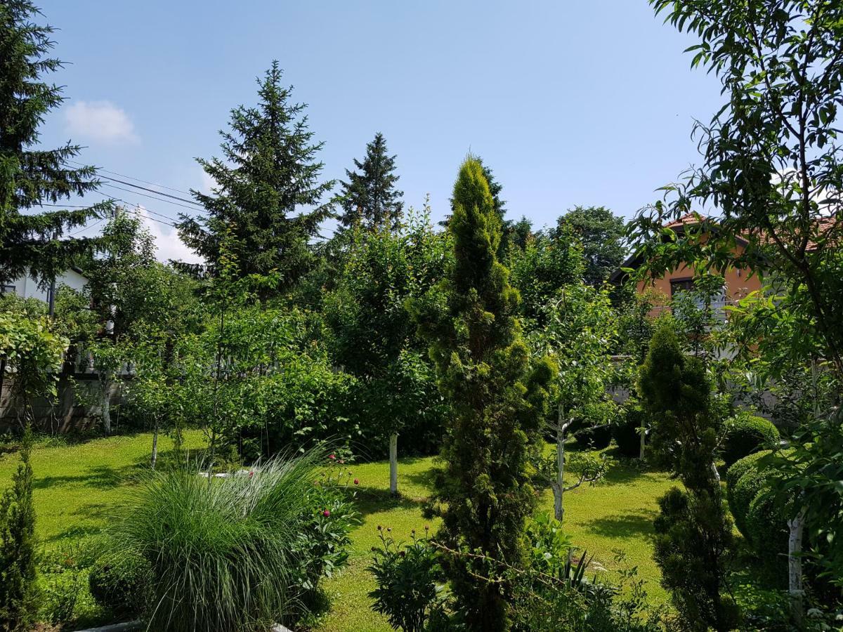 Apartment Paradise Enver Dubrave Gornje 外观 照片